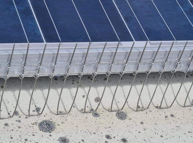 Close-up of stainless wire guards clipped along an aluminium solar panel frame